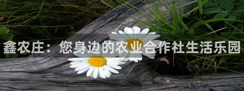 pg电子吃分时间