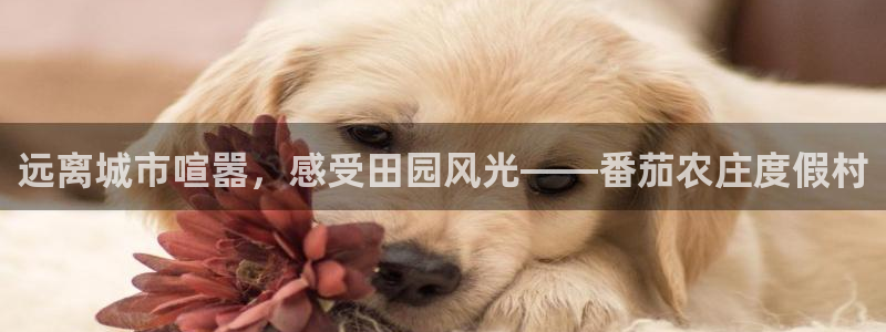 pg电子免费游戏爆分