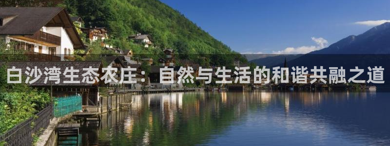 pg电子寻龙探怎么吃分