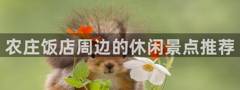 pg电子平台能操控吗