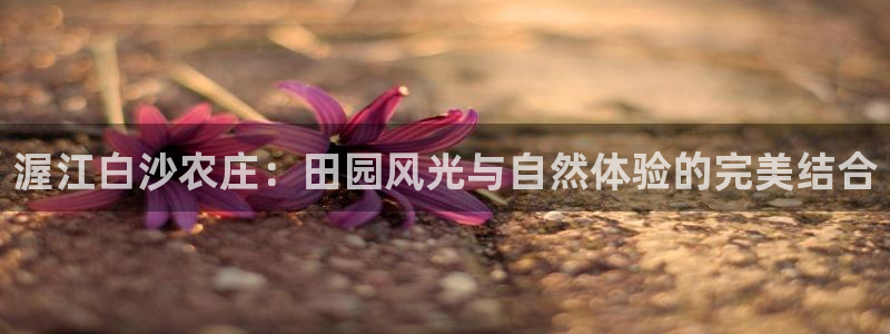 pg电子天天输怎么玩