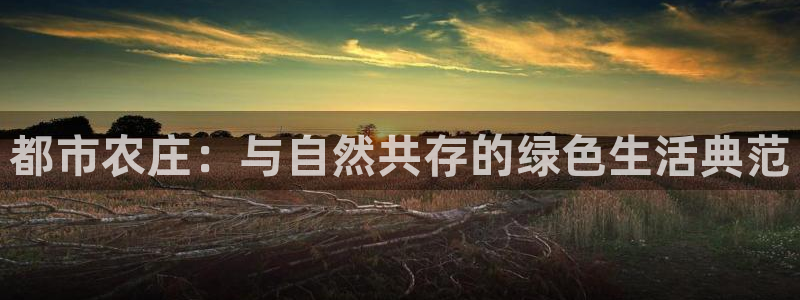 pg电子各大网站