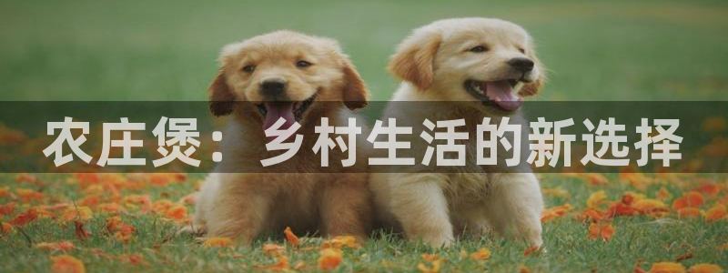 免费pg电子试玩模拟器