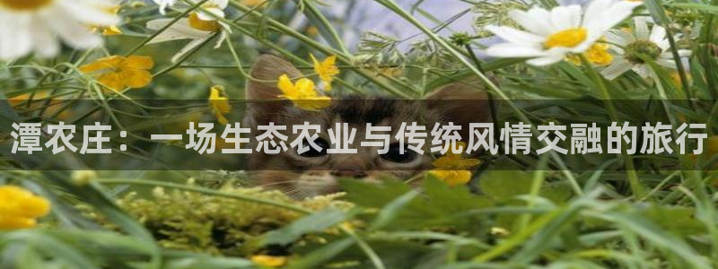 久发pg电子游戏网站