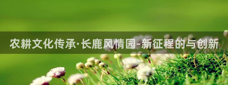 pg电子APP平台下载