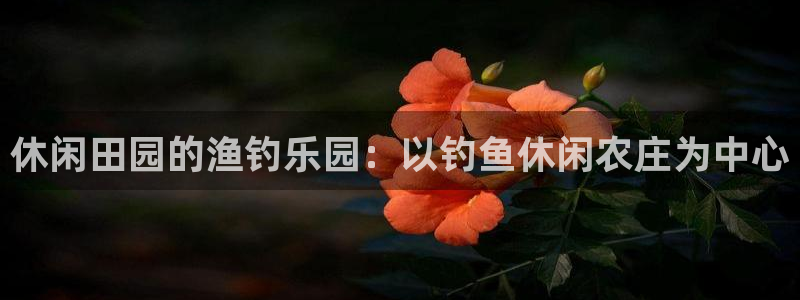 pg电子免费游戏视频