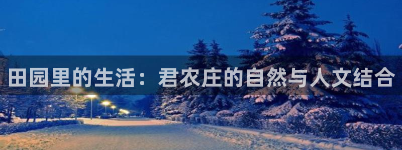 pg电子有哪些平台