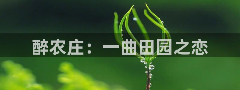 pg电子麻将胡了试玩版