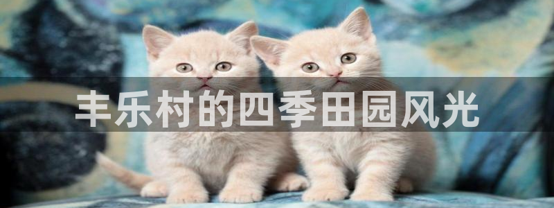 pg电子寻宝黄金城攻略