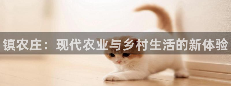 pg电子游戏哪里玩