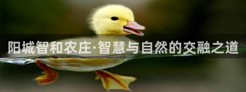 电子pg游戏最高爆分