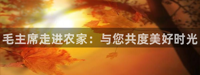 pg电子白天玩还是晚上