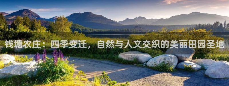 pg电子算赌博吗