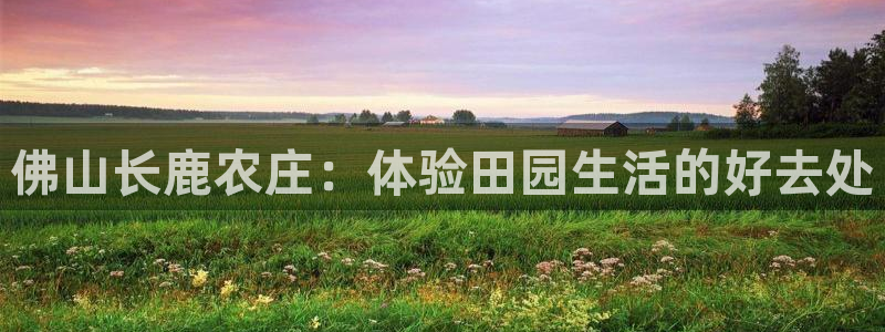 pg电子游戏视频哪里多