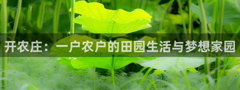 有没有PG电子体验的