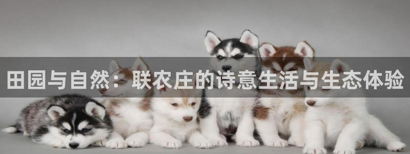 pg电子模拟器试玩在线