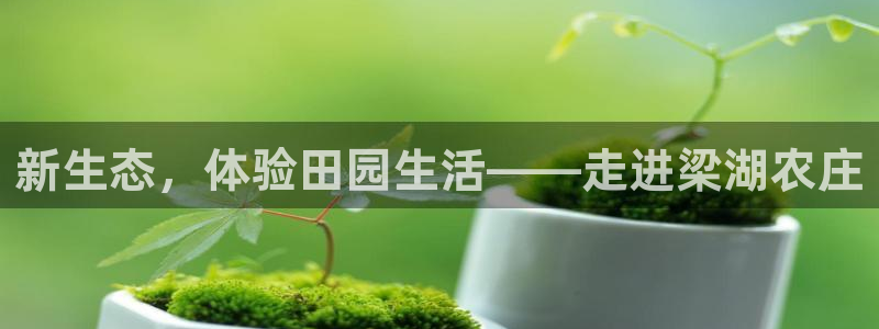 pg电子返奖率多少