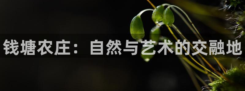 搜索电子专业术语PG