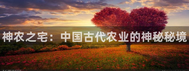 pg电子迎财神改代码