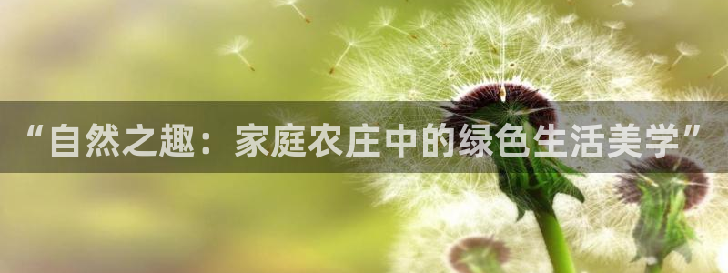 pg电子麻将胡了模拟器