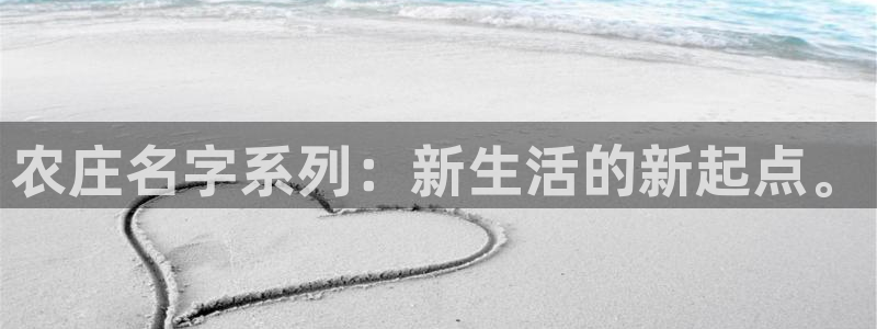 pg电子在线下载