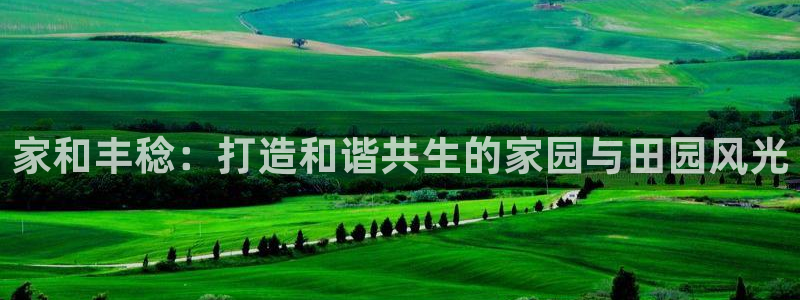 PG电子ly七九典cn