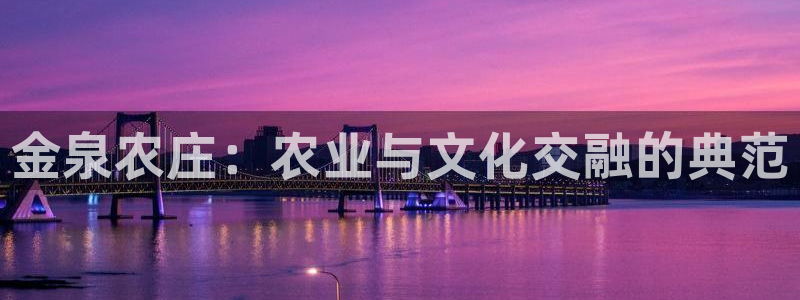 夜醉佳人电子pg