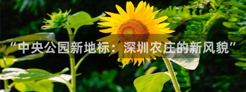 电子pg游戏最高爆分