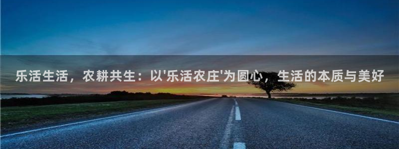 pg雪崩 电子说明书