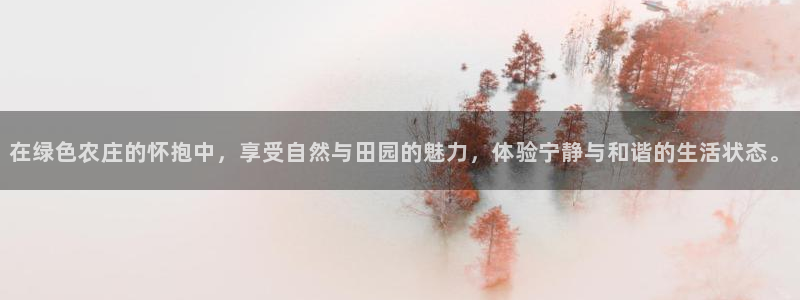 PG电子少林足球规则