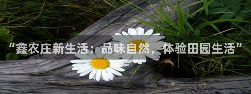 Pg电子海盗船长技巧