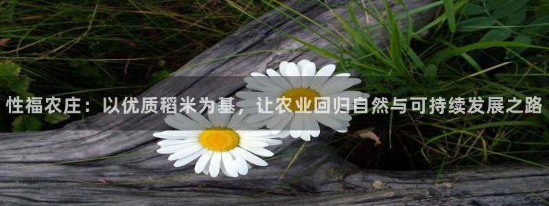pg电子违法吗