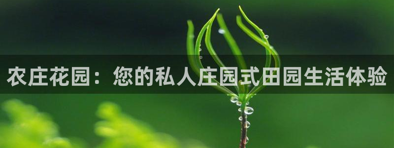 pg电子脚本