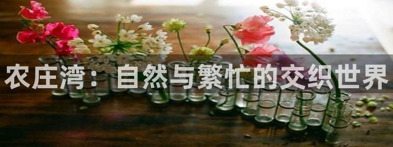 pg电子是怎么爆奖的