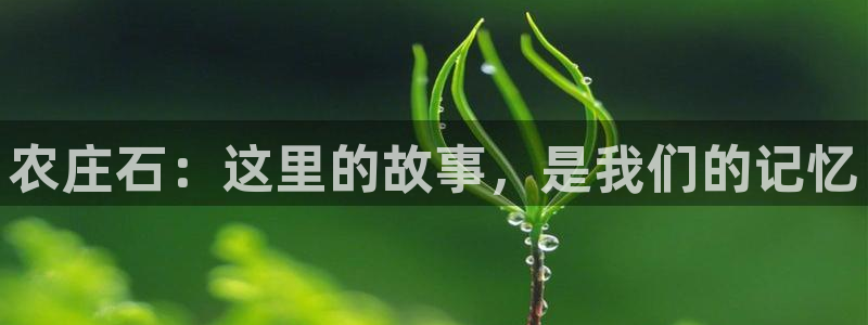 pg电子不好赢