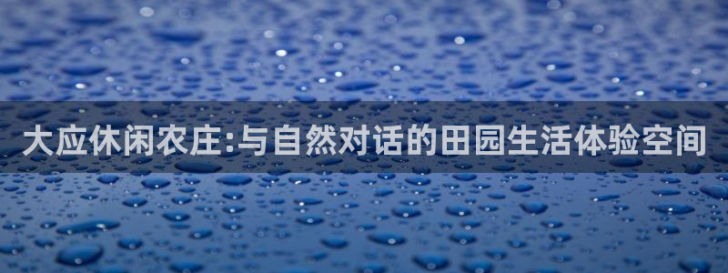 PG电子反水怎么算