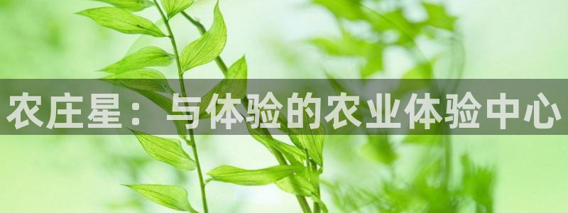 高爆率pg电子网址