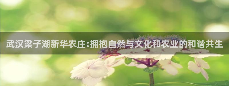 pg电子游戏网站