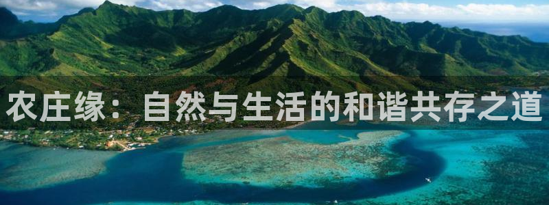 pg电子怎么天天输