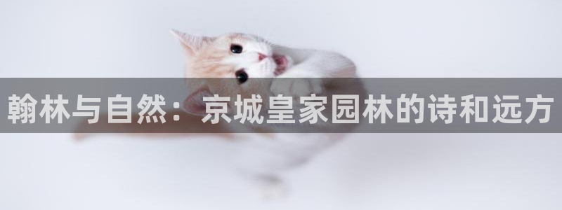 pg电子艳后之谜是什么