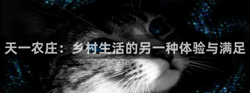 pg电子平台网站
