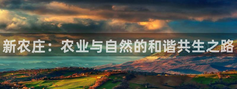 pg电子怎么爆分