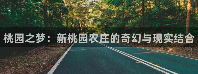 pg电子是谁开发的