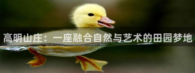 pg电子有没有诀窍