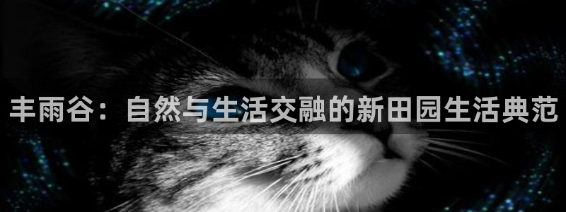 pg电子麻将胡了打法