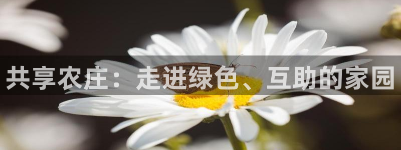 pg电子爆分阶段