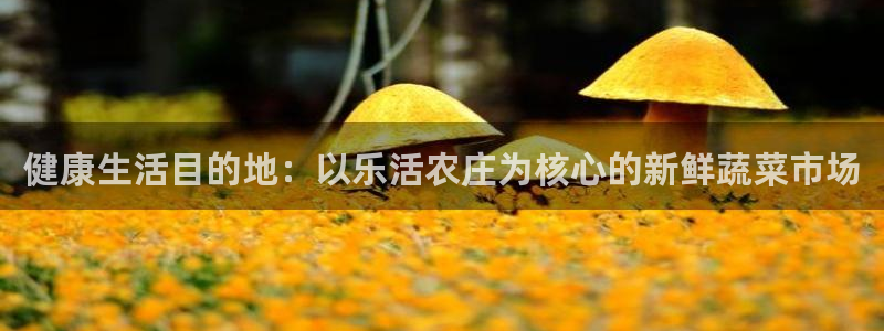 pg电子为什么老是维护