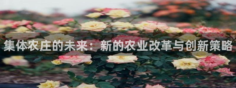 pg电子一直吃分