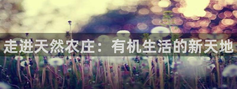 pg电子游戏维护多久