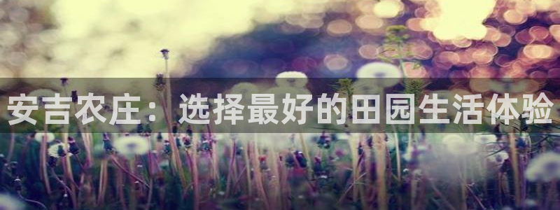 电子pg赏金女王